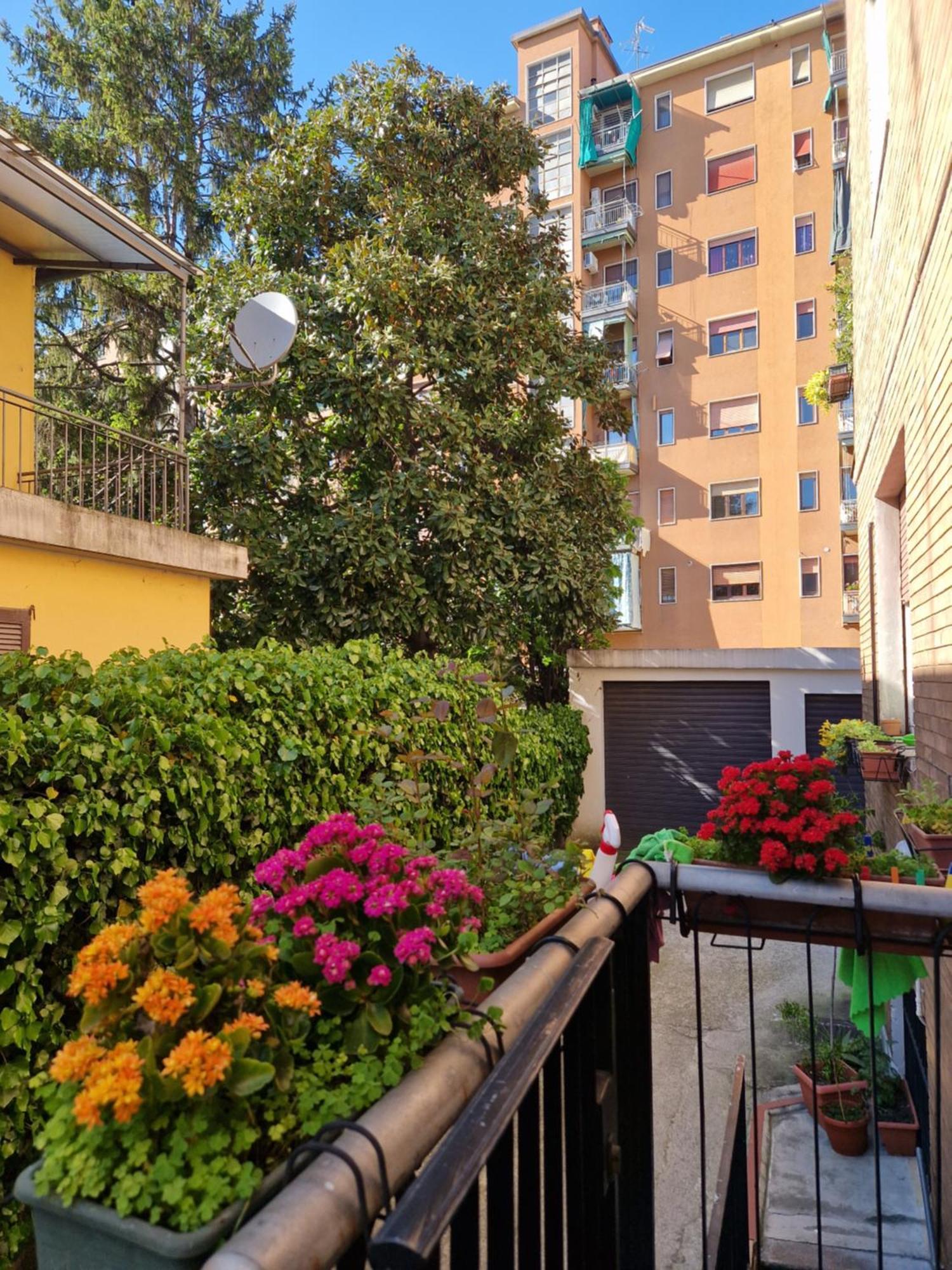 Studio Luna Apartments — Photos 3